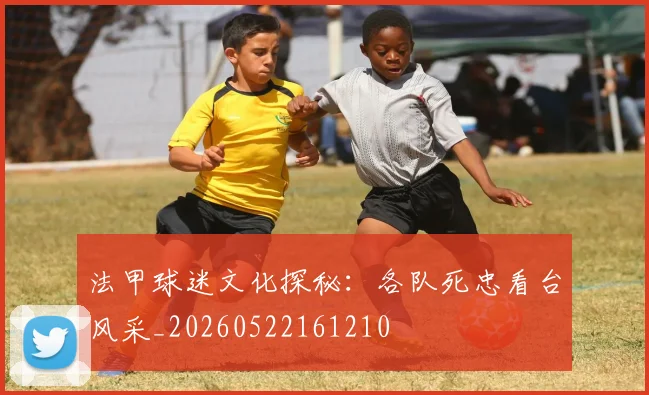 法甲球迷文化探秘：各队死忠看台风采_20260522161210