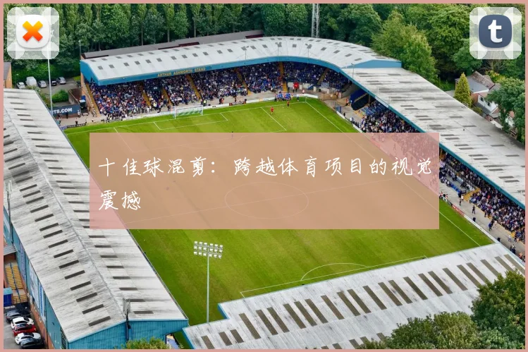 十佳球混剪：跨越体育项目的视觉震撼
