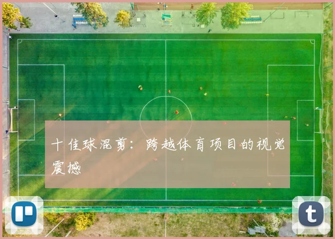 十佳球混剪:跨越体育项目的视觉震撼